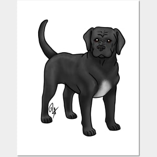 Dog - Cane Corso - Natural Black Posters and Art